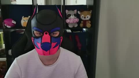 MellPUP online show from April 13, 9:41 pm