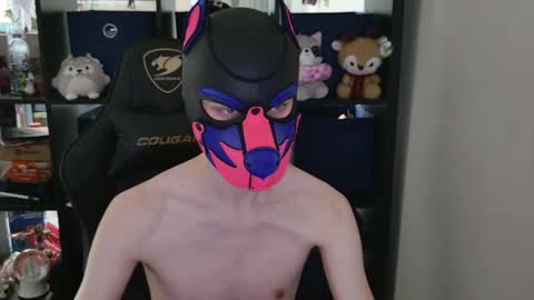 MellPUP online show from April 29, 6:46 pm
