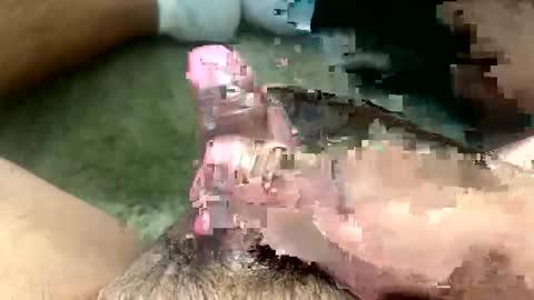 Toro loco online show from March 26, 9:31 pm