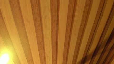 mia__blaze_ online show from February 25, 2:59 am