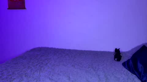 michellepetitte online show from April 2, 1:57 am