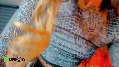 MICHELNAUG    online show from November 18, 2:58 am