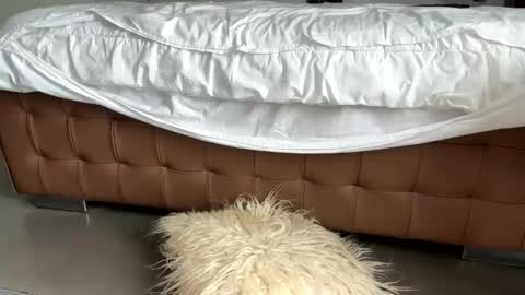 djfuckoff online show from March 2, 1:40 pm