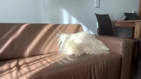 djfuckoff online show from February 28, 11:03 am