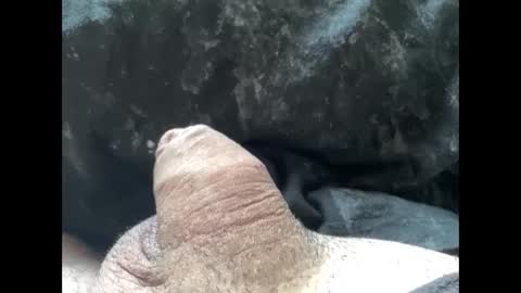 mikke332 online show from February 10, 11:57 am