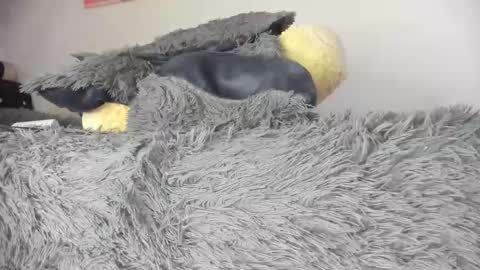 Mila Dash online show from January 13, 1:08 pm