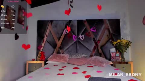 Snapshot of milan_ebony chatting on February 14, 11:31 am Milan online show from February 14, 11:31 am