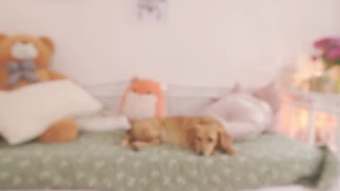 milky_0 online show from April 12, 5:06 pm