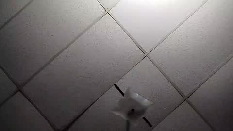 miloanj online show from November 19, 11:25 pm