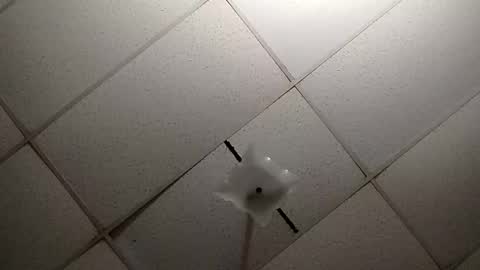 miloanj online show from October 21, 4:06 am