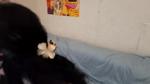 Mindy online show from April 8, 5:21 am