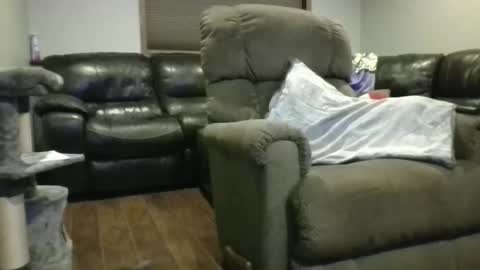 Minnesota Guy online show from November 7, 11:29 pm