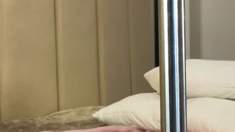 Annie  dont forget to thumbs up me  online show from January 11, 1:11 pm