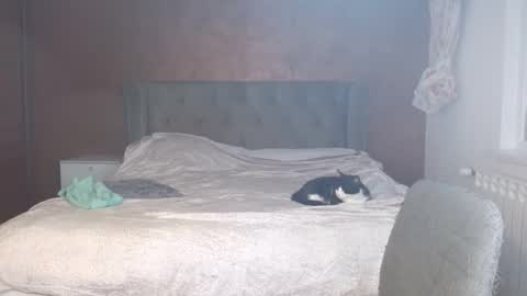 Misha online show from October 26, 4:57 am