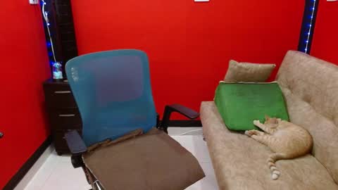 mafe maria fernanda online show from April 8, 12:19 pm