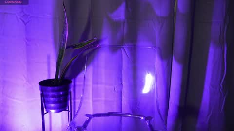 DIONNE online show from April 14, 11:35 am