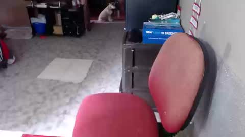 Maria Gomezz online show from March 19, 4:12 pm