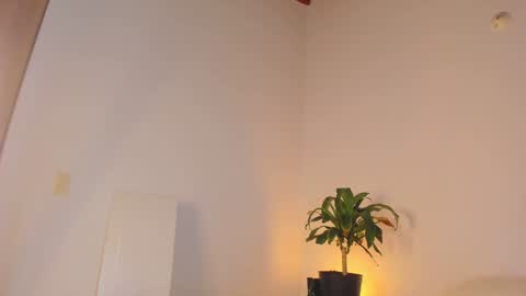 misspaulag online show from January 31, 4:03 am