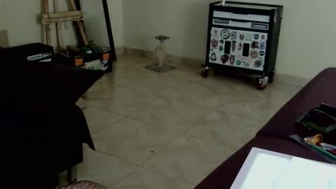     online show from January 14, 6:16 pm