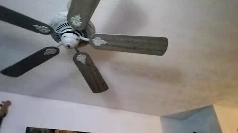 BobbyMitchGa online show from September 27, 12:14 pm