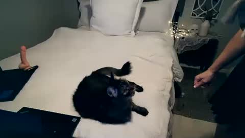 Angel online show from October 6, 3:57 am