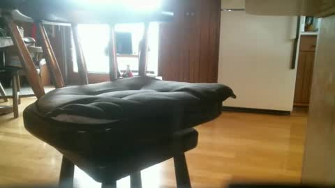 mmrstp online show from September 14, 11:00 am