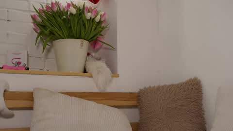 monicaasis online show from March 8, 9:18 pm