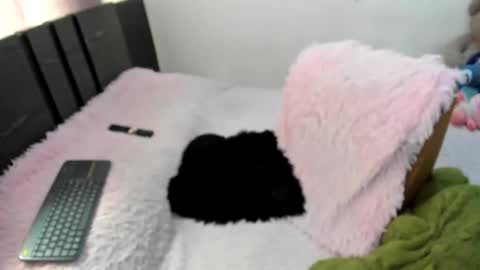 monicaharrison online show from February 24, 4:32 pm