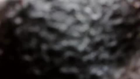 BouncyBoner online show from September 8, 11:04 pm