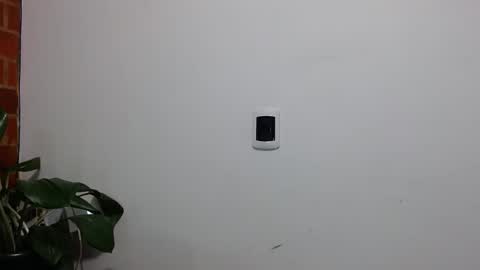 Abelardo online show from March 27, 5:02 am