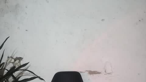 John john online show from February 24, 6:27 am