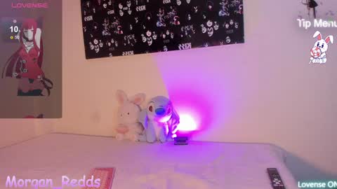 Morgan-Redds online show from January 29, 8:56 pm