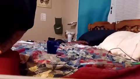 B online show from February 4, 8:24 am