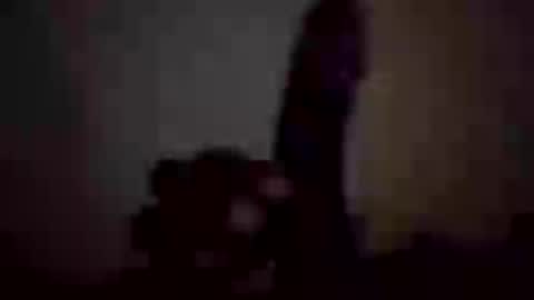 mr_donkey23 online show from July 15, 7:24 am