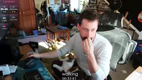 ninko online show from February 28, 1:58 pm