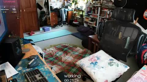 ninko online show from February 13, 8:34 pm