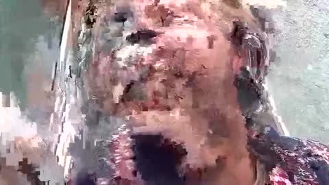 mr_i_ online show from September 19, 10:41 am