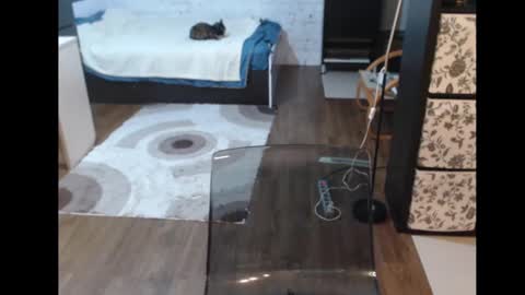 Sasha online show from March 11, 3:23 pm