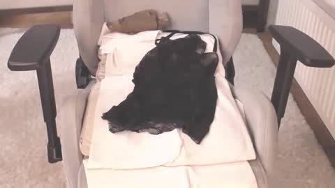 Snapshot of ms_hot_milf chatting on October 4, 6:22 am Tips are the best compliments dont forget to add in fav online show from October 4, 6:22 am