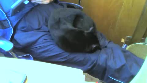 muller520 online show from September 15, 2:51 pm