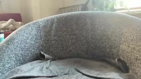 muslgut online show from March 9, 7:05 pm