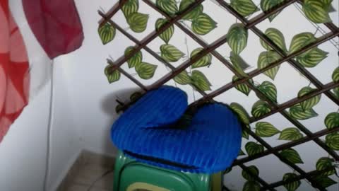 my negrito online show from April 11, 7:02 am