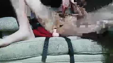 mystro210748139 online show from September 30, 4:12 am