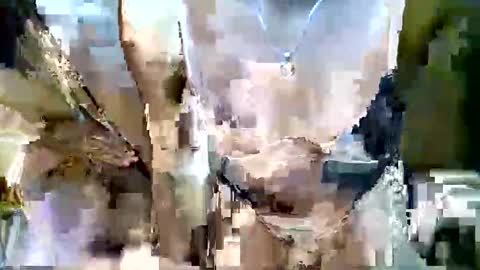 nafertiti online show from November 5, 4:42 pm