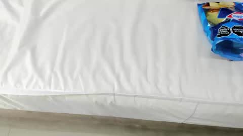 nai_blue online show from September 21, 1:31 am