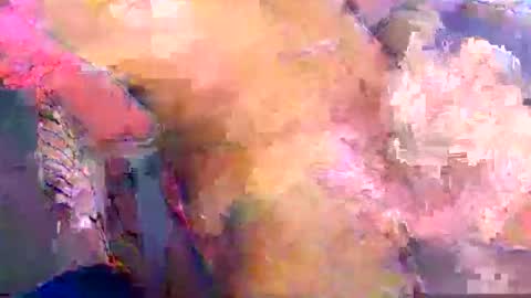nakedtraderbr online show from May 13, 1:54 pm