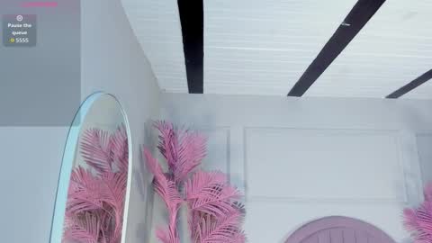 nalapalmer online show from February 24, 3:20 am