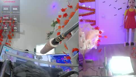 INSTAGRAM     bekkercat  online show from October 30, 12:06 pm