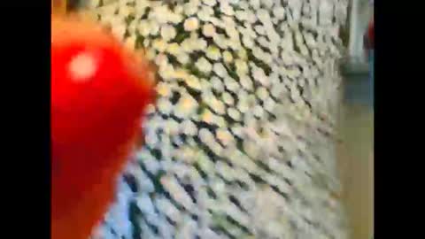 Natali online show from April 9, 6:19 am