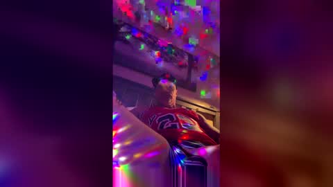 natedog253 online show from April 9, 3:29 pm